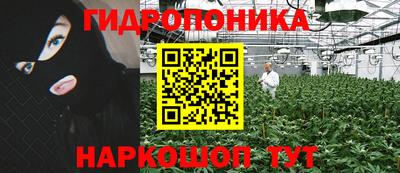 a pvp Берёзовский