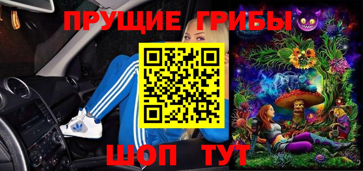 Балашиха  Псилоцибиновые грибы Cubensis  Вход с VPN 